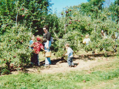 mother with her children picking apples