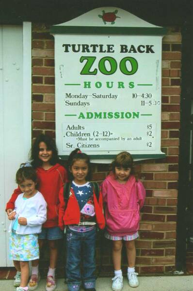turtle backzoo